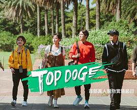 换妻论坛《TOP DOG》免费在线观看