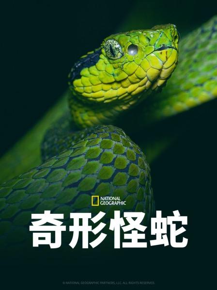 探花社区《奇形怪蛇》免费在线观看